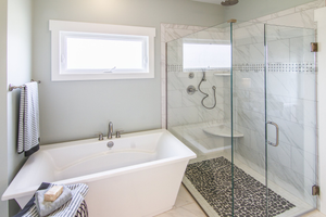 Frameless Shower and Free Standing Tub